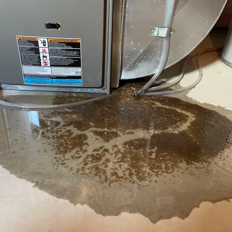 Appliance Leak Cleanup in Hyde Park, VT